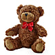 Adorable Plush Bear – Forever Flower Shop, Phoenix AZ