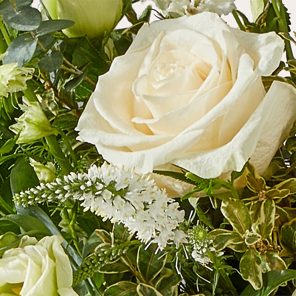 Cashmere Bouquet –  Forever Flower Shop, Phoenix AZ