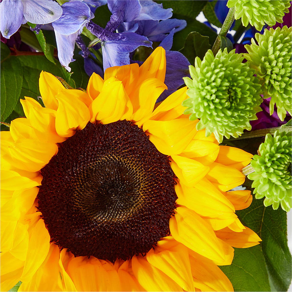 Catching Rays Bouquet –  Forever Flower Shop, Phoenix AZ