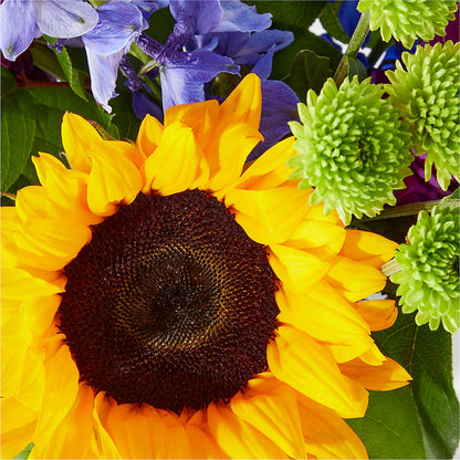 Catching Rays Bouquet –  Forever Flower Shop, Phoenix AZ