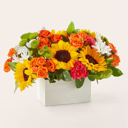 Sun-drenched Blooms Box Bouquet –  Forever Flower Shop, Phoenix AZ