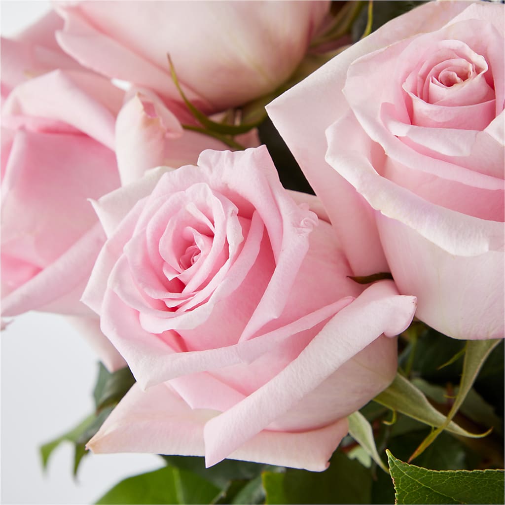 Picture Perfect Pink Rose Bouquet –  Forever Flower Shop, Phoenix AZ