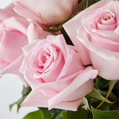 Picture Perfect Pink Rose Bouquet –  Forever Flower Shop, Phoenix AZ