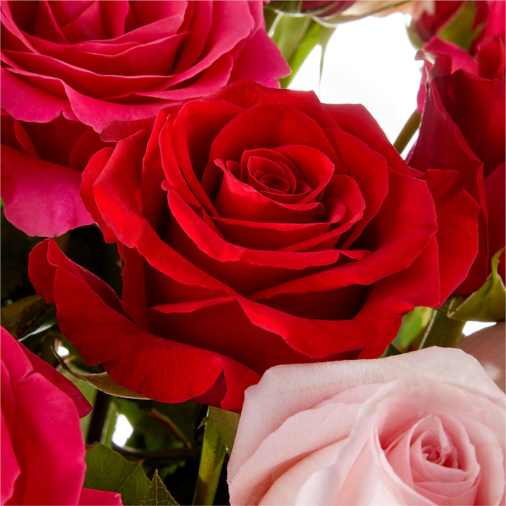 Love Notes Rose Bouquet –  Forever Flower Shop, Phoenix AZ