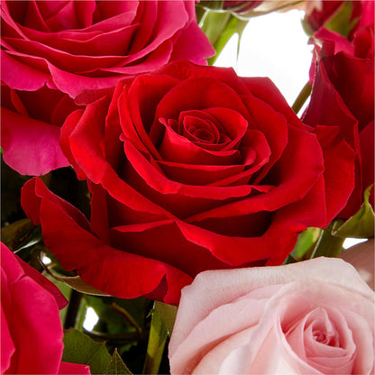 Love Notes Rose Bouquet –  Forever Flower Shop, Phoenix AZ