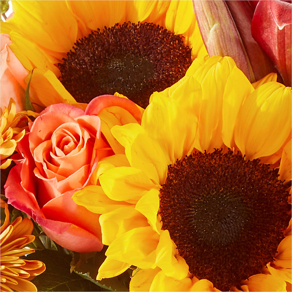 Acorn Lane Bouquet –  Forever Flower Shop, Phoenix AZ
