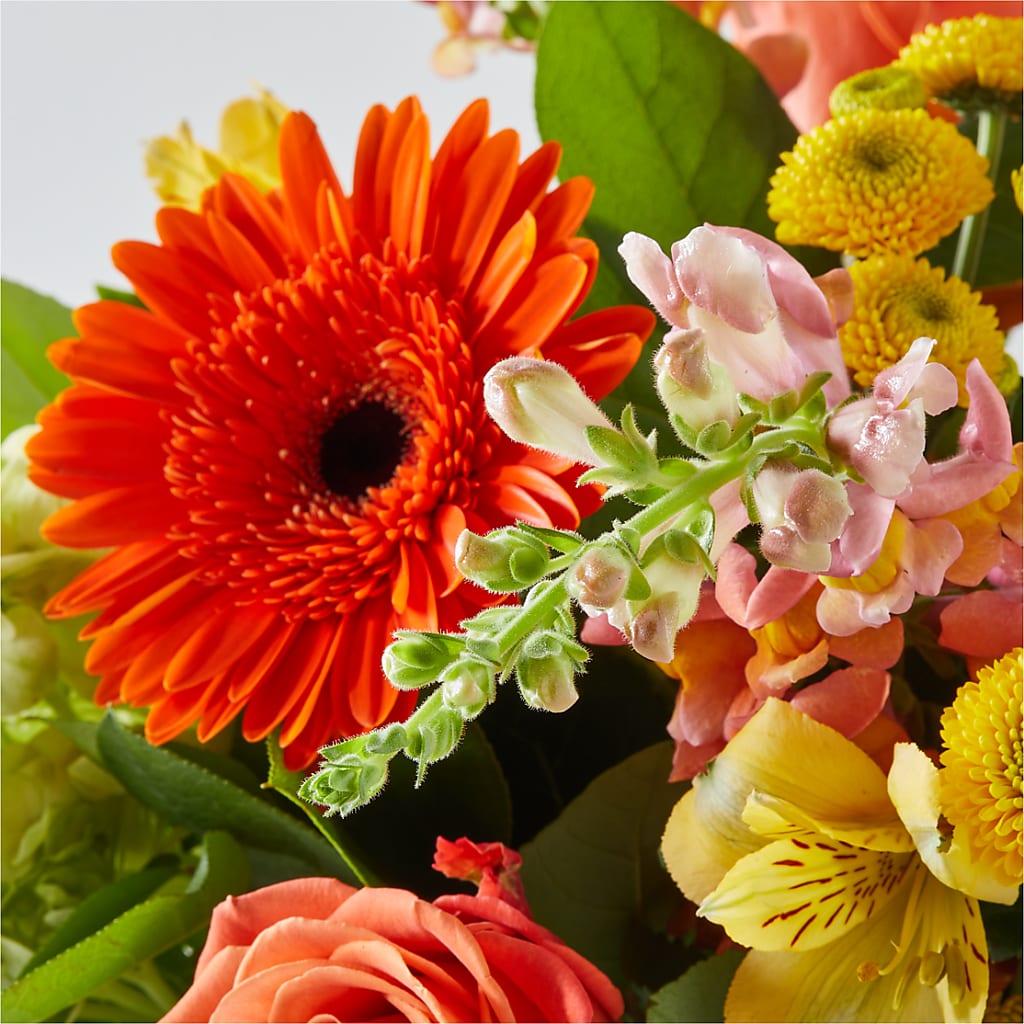 Autumn Sunshine Bouquet –  Forever Flower Shop, Phoenix AZ