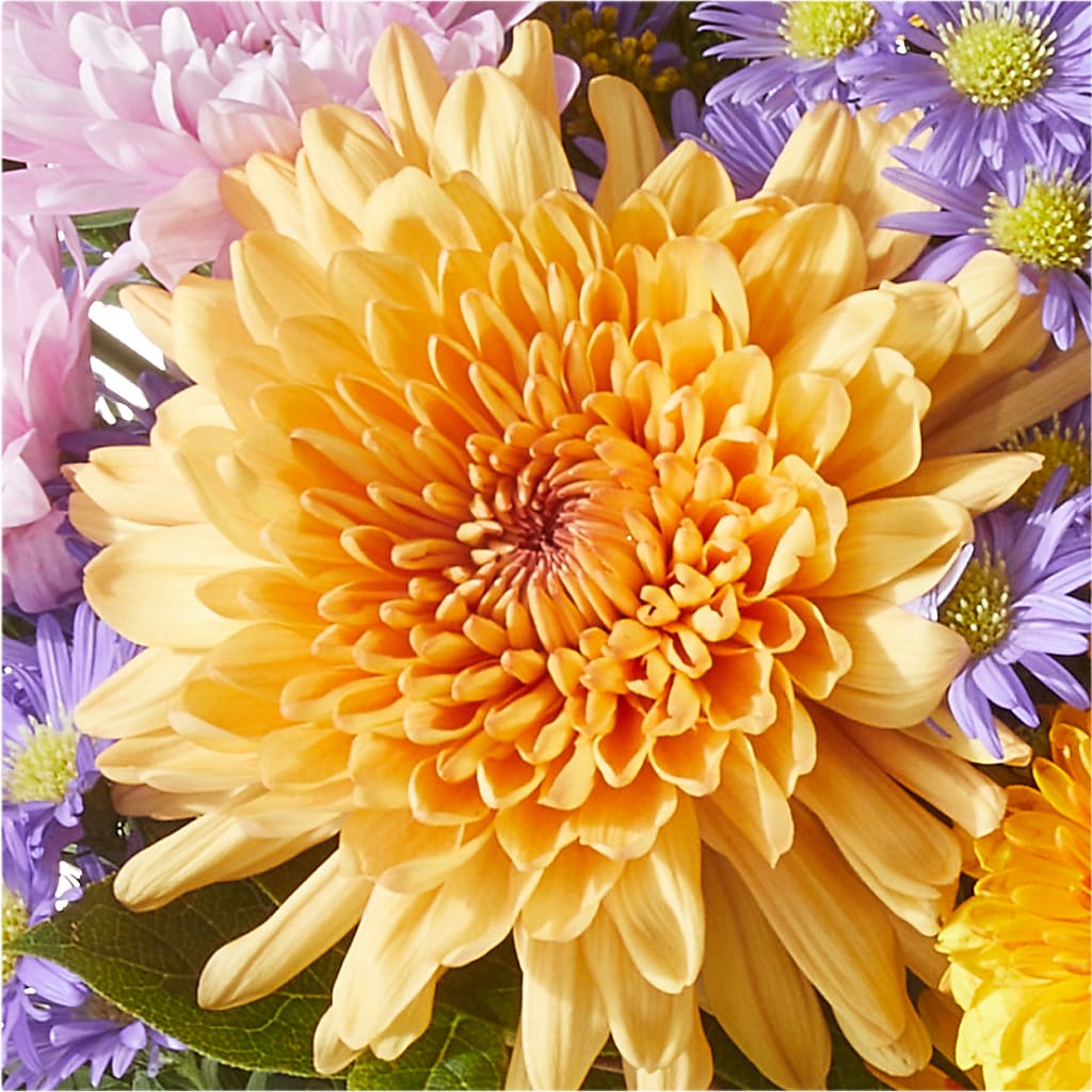 Countryside Bouquet –  Forever Flower Shop, Phoenix AZ