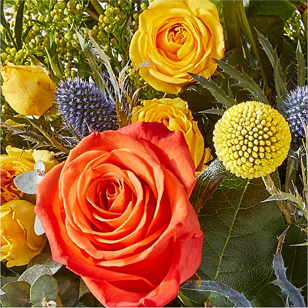Disco Bouquet –  Forever Flower Shop, Phoenix AZ